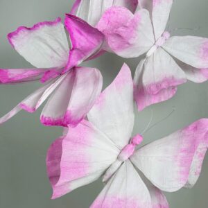 Deko-Schmetterlings-Ensemble aus Papier